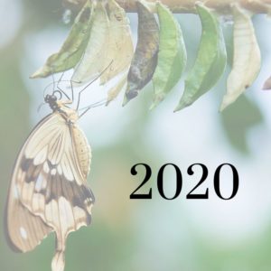 Wetswijzigingen 2020